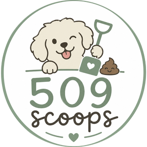 509 Scoops